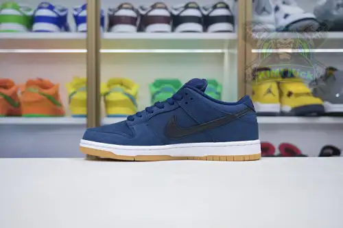 Nike Dunk Sb Low Pro Iso 