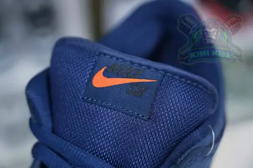 Nike Dunk Sb Low Pro Iso 