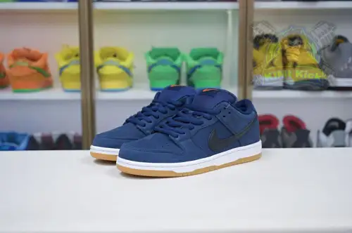Nike Dunk Sb Low Pro Iso 