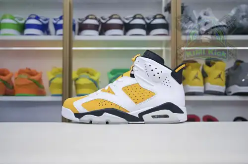 Air Jordan 6 