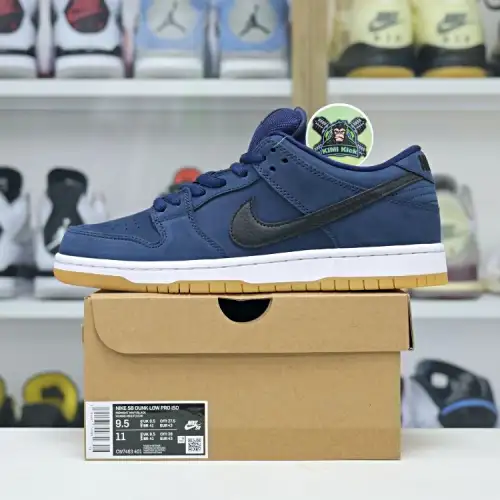 Nike Dunk Sb Low Pro Iso 