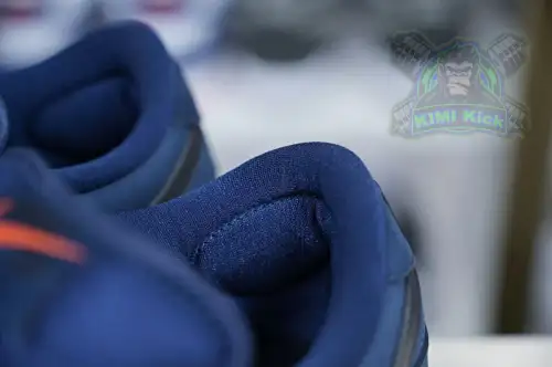 Nike Dunk Sb Low Pro Iso 