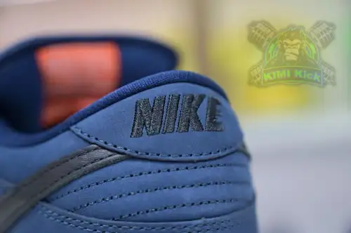 Nike Dunk Sb Low Pro Iso 