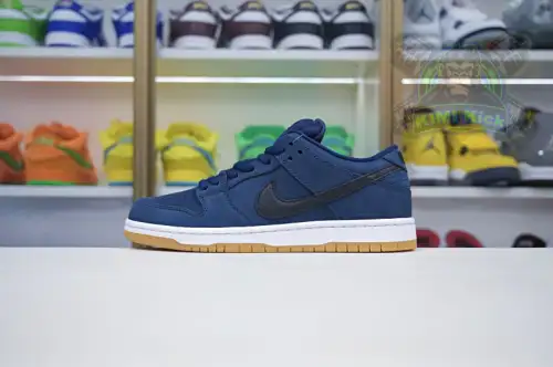 Nike Dunk Sb Low Pro Iso 