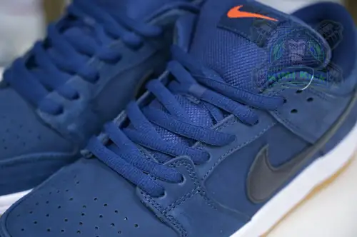 Nike Dunk Sb Low Pro Iso 