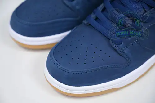 Nike Dunk Sb Low Pro Iso 