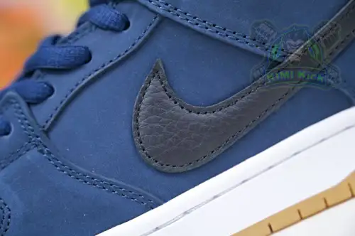 Nike Dunk Sb Low Pro Iso 