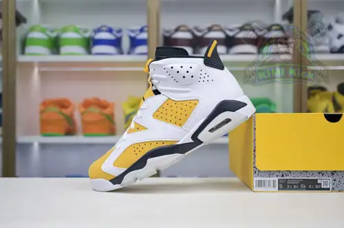 Air Jordan 6 
