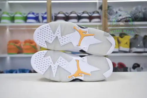 Air Jordan 6 