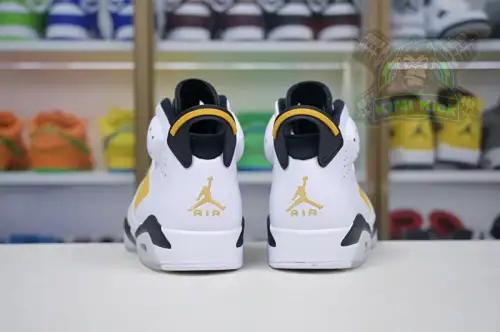 Air Jordan 6 