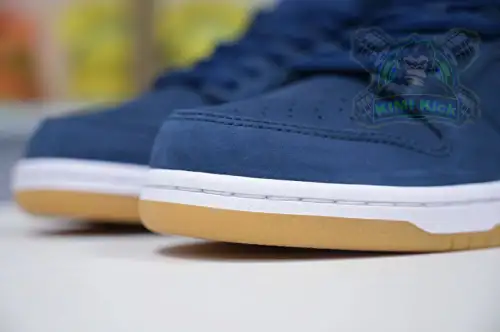 Nike Dunk Sb Low Pro Iso 