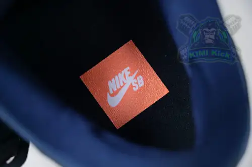 Nike Dunk Sb Low Pro Iso 