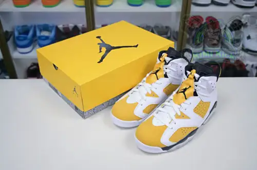 Air Jordan 6 