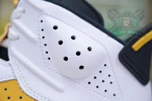 Air Jordan 6 
