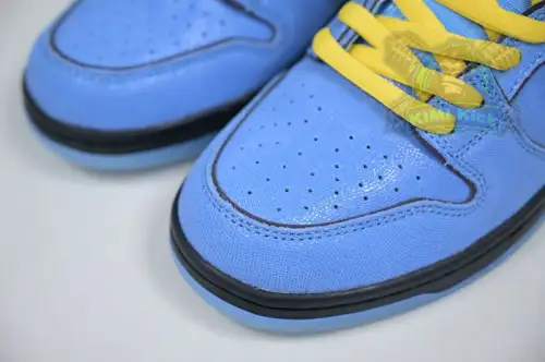 The Powerpuff Girls X Nike Dunk Sb Low