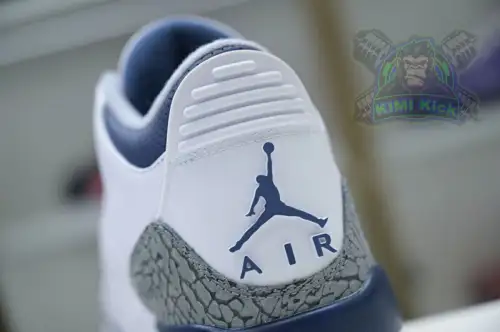 Jordan Air Jordan 3 