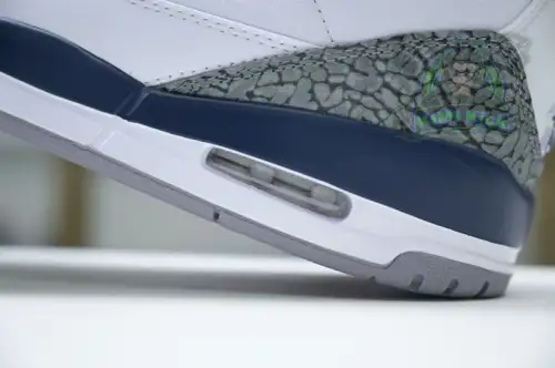 Jordan Air Jordan 3 