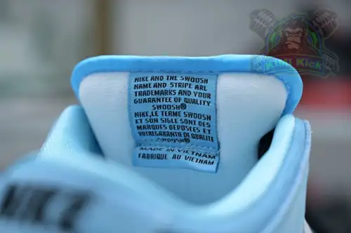 Nike Dunk Sb Low Pro