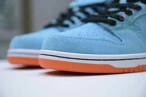 Nike Dunk Sb Low Pro