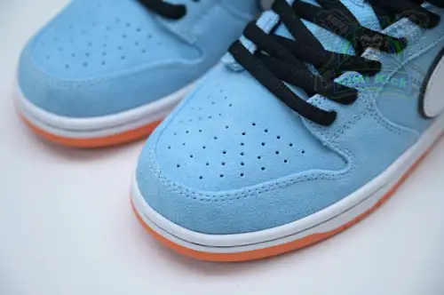 Nike Dunk Sb Low Pro