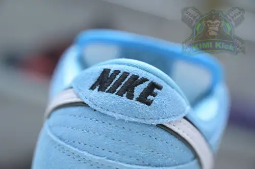 Nike Dunk Sb Low Pro