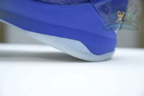 Nike Zoom Kobe 5 Protro 