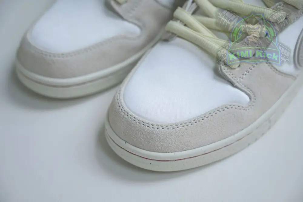 Nike Dunk Sb Low 