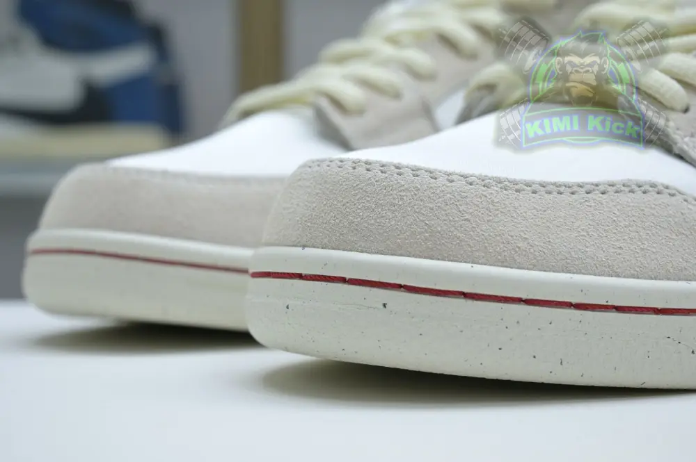 Nike Dunk Sb Low 
