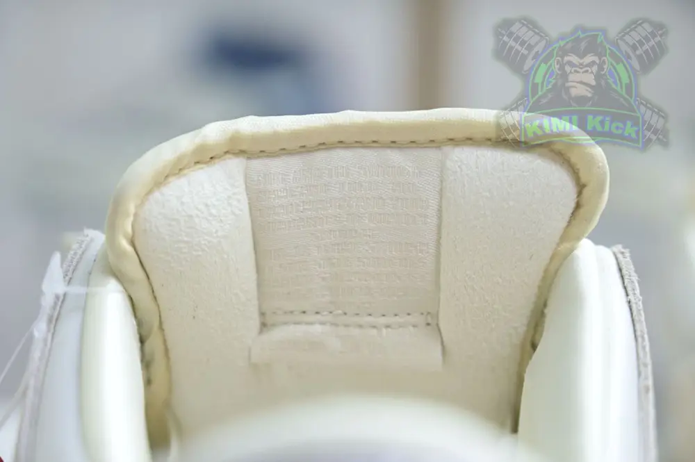 Nike Dunk Sb Low 