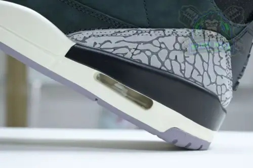 Jordan Air Jordan 3 
