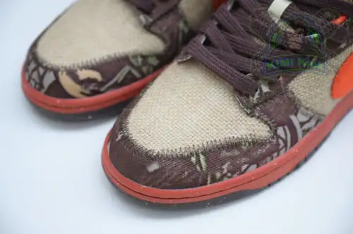 Nike Dunk Sb Low Reese Forbes 