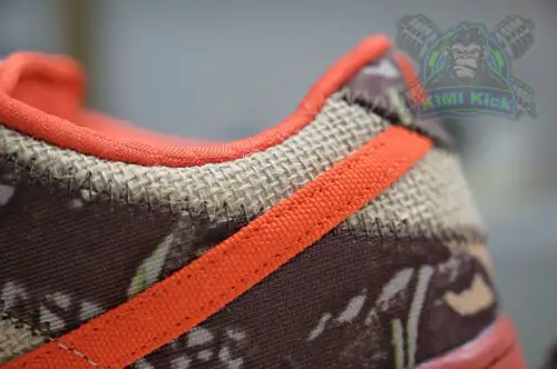 Nike Dunk Sb Low Reese Forbes 
