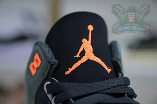 Air Jordan 3 